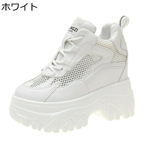 Cq[Xj[J[  bV fB[X 10cmgUP r X|[cV[Y V[NbgV[Y ʋC ɂ Ȃ _  ʋΒʊw 풅p U f[g t