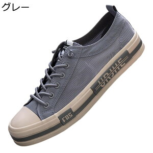 Y Xj[J[ [XAbv LoX 傫TCY XPV[ [Jbg  ɂ ČC Ȃ \tg ʋC h tbg fbLV[Y ʋ ʊw ^C ₷