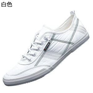 JWAV[Y Y YbNC Xj[J[ 傫TCY ėp [XAbv y EH[LOV[Y L l tbg j ^C ItBX ʋΒʊw NVbN  