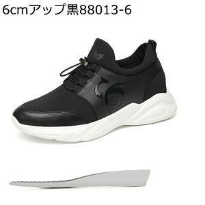 V[NbgC Xj[J[  JWAV[Y Y v 傫TCY LC  h X|[c K hCrOV[Y tďH j EH[LO jOV[Y 