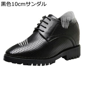 rWlXV[Y Y wȂC 10cmAbv vC }bgU[ h Ղ amC jp RXvC ʋ  JWA EH[LOV[Y RtH[g j c