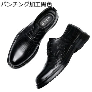 rWlXV[Y Y wȂC U[ [XAbv 6-7cmAbv h Ղ amC 傫 Vv  JWA IbNXtH[hV[Y vC ʊw ʋ ̓ N