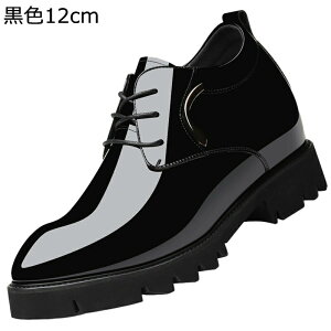 12cmAbv V[NbgV[Y rWlXV[Y Y Gi vC jp RXv ʋ [XAbv h h \tg ʋC JWAV[Y tďH j i cƃ} 