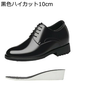 rWlXV[Y Y fB[X wȂC 6-10cmAbv U[ ʋC y ~ jp }bg 傫TCY x[VbN JWA |Xg}V[Y RXv ʋ N