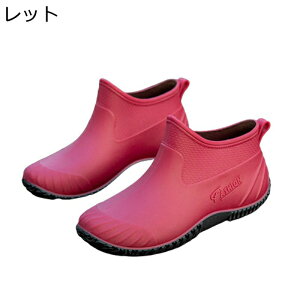 hV[Y hΉ CV[Y fB[X Xb| [Jbg tbg ꌓp n y h ~J  Ȃ _ tďHp d p _ Cu[c