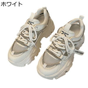 _bhXj[J[ C fB[X 6cmgUP r y bV EH[LOV[Y [XAbv h y h Sn ₷  d p o fC[ tďH