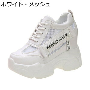 _bhXj[J[ C fB[X wȂC 11cm Wbv bV V[NbgV[Y ~ [XAbv Ռz EȒP Vv ʋΒʊw JWA U f[g 