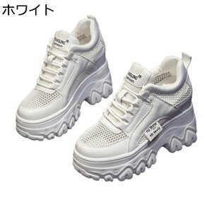 _bhXj[J[  fB[X 10cmgUP r bV V[NbgV[Y [XAbv ~ Ռz ɂ _炩 Vv s EH[LO gx ʊw ItB