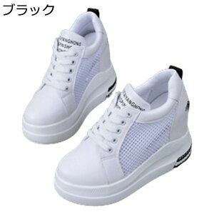 Cq[Xj[J[ C fB[X 11gUP r bV y X|[cV[Y V[NbgV[Y h [XAbv Ȃ ʋC  p o fC[ lG