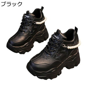  fB[X Cq[Xj[J[  V[NbgV[Y 10cmgUP p[  y EH[LOV[Y ^C ϖՐ ʋC h Ȃ _ t p o 