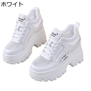  fB[X Cq[Xj[J[ V[NbgV[Y 10cm bV  gAbv y EH[LOV[Y ^C ʋC h EȒP RtH[g X|[c W[