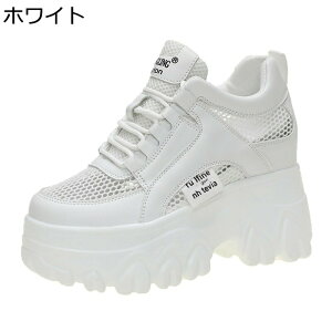  fB[X _bhXj[J[ V[NbgV[Y 10cmAbv bV  r y EH[LOV[Y ^C ϖ ʋCh Ȃ _ tH p o fC