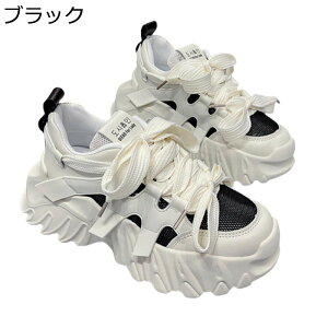 C fB[X Cq[Xj[J[ X|[cV[Y 5cmgUP ʋC  y Xgbv  JWA ɂ ɂ _炩 ʔNKp ig AEghA EH