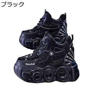 C fB[X Cq[Xj[J[ V[NbgV[Y 10cmAbv r Vv y X|[cV[Y JWA ϖՐ ʋC h \tg Ȃ ʔNKp ʊw i 