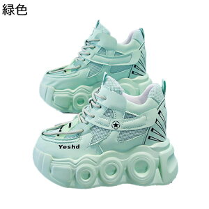 C fB[X Cq[Xj[J[ V[NbgV[Y 10cmAbv r Vv y X|[cV[Y JWA ϖՐ ʋC h \tg Ȃ ʔNKp ʊw i 