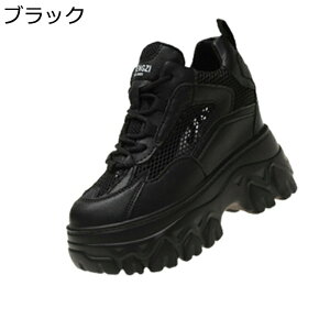 Cq[Xj[J[  bV fB[X 10cmgUP r X|[cV[Y V[NbgV[Y ʋC ɂ Ȃ _  ʋΒʊw 풅p U f[g t