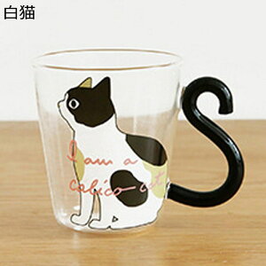 NAKX  eB[Jbv }O ˂Knh  ␅/MOK NlR gJbv ۉ fM  e Ή KX H| ACXeB[ [teB[ eB[p[eB 