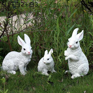 K[fI[ig e2CZbg ETM u A { O Ԓd̒u CeA   pH| IuWF |  O  Ő O 