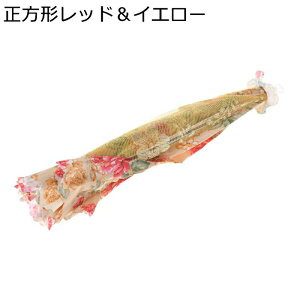 HJo[ t[hJo[ 悯 ho ܂肽 Lb`c[ [X P^ [ RpNg ʋC @\ y  Ղ ֗ fU[g  sNjbN 