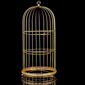 P[LfBXvCX^h 2w 3w fU[gX^h P[L  ~` vb^[bN َq m P[LfR[V At^k[eB[ a MȂ  p[e