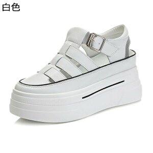 7cmAbv  r[`T_ Xj[J[ fB[X v Xgbv  ėp Ȃ OJ r[T r ʋC hL y   JT  JWA ]g C 