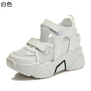 X|[cT_ Cq[ bVXj[J[ 8cmAbv fB[X ^C xN EH[LO  ėp Ȃ OJ r[T r Ȃ RtH[g É n ]