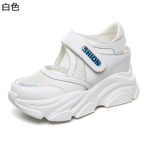 r[`T_ bVXj[J[  X|[c 8cmAbv Cq[ fB[X xN EH[LOV[Y Ȃ  r yʒʋC h ₷ i ItBX 