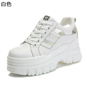 bVXj[J[ T}[T_ fB[X IV 7cmAbv [XAbv  T_  ėp OJ r v[ i ^ Ȃ RtH[g É JWA 