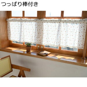 JtFJ[e ԕ [XJ[e `[h[v V[gJ[e J[e p n[tJ[e ς_ hoJ[e JtF t  C GKg Pn