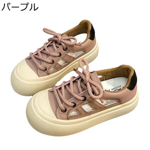  Xj[J[  fB[X X|[cT_ [XAbv bV [Jbg wȂ r 5cm  v  vbgtH[ IV Oo ԗd o 