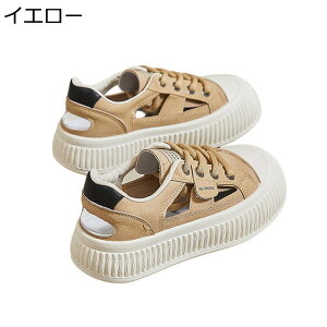  Xj[J[ X|[cT_ fB[X  [XAbv ~ 4cm S\[ 킢 [Jbg v tďH JWA ʋΒʊw Ȃ ₷ o 