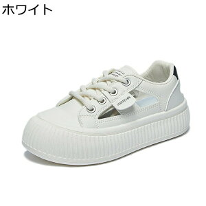  Xj[J[ X|[cT_ fB[X  [XAbv ~ 4cm S\[ 킢 [Jbg v tďH JWA ʋΒʊw Ȃ ₷ o 