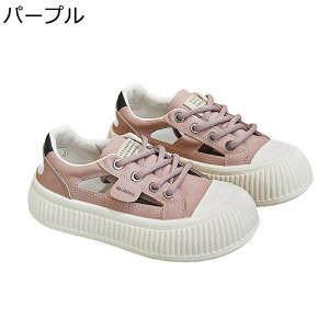  Xj[J[ X|[cT_ fB[X  [XAbv ~ 4cm S\[ 킢 [Jbg v tďH JWA ʋΒʊw Ȃ ₷ o 