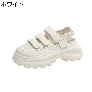  X|[cT_ fB[X bV Xj[J[ wȂ _bhXj[J[ Ɠ 5cmAbv Ȃ xN D^ [Jbg   ʊwʋ vbgtH[