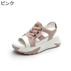  X|[cT_ fB[X [XAbv 6cmAbv I[vgD [Jbg   wȂ TCY Xj[J[ 킢 ʋΒʊw vbgtH[ W[ ^