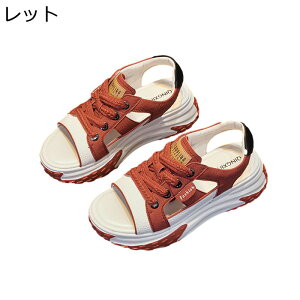  X|[cT_ fB[X [XAbv 6cmAbv I[vgD [Jbg   wȂ TCY Xj[J[ 킢 ʋΒʊw vbgtH[ W[ ^