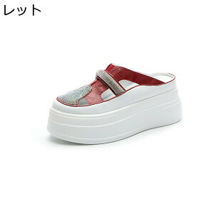 ~[  T_ fB[X [XAbv ƂȂ 7cmg Xb| T{T_ vbgtH[ LL  r[`T_ bV v ItBX ʊw