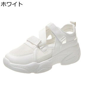 X|[cT_ T_ ėp bV xN 4cmAbv fB[X D^ ܐ悠 킢 wȂC \ ʋC jO ~ E֗ EH[LO