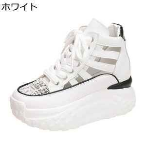  Xj[J[ X|[cT_ fB[X 7cmAbv  [XAbv S\[ nCJbg v tďH ҂݂ܐ Cq[ bV vbgtH[ ~ 