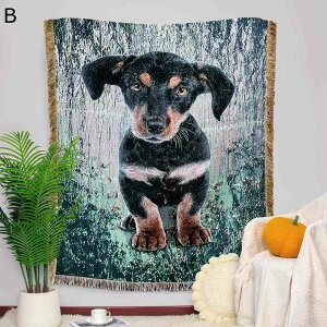 \t@[Jo[  3Dvg   }`Jo[  xbhJo[ uPbg hoJo[ e[uNX h~ tWt  ~ ѕz Ђ lGʗp 