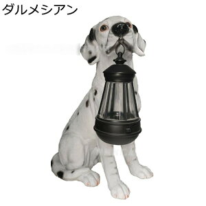  K[fI[ig IuWF K[fjO u eq̌ \[[Cg { ObY 킢     ϋv h  CeA fR[V 