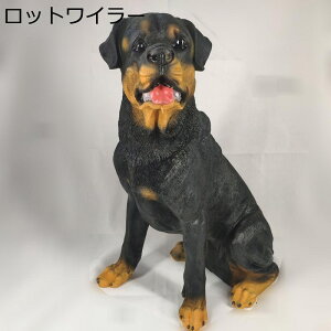  K[fI[ig IuWF K[fjO u eq̌ \[[Cg { ObY 킢     ϋv h  CeA fR[V 