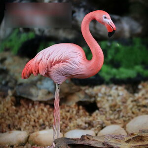 K[fI[ig t~S IuWF { CeA K[fjO ObY ϋv   u hO 킢 Jbv  I[ig K[fjOG