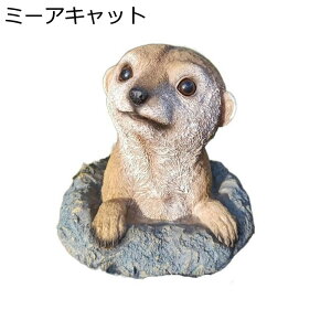 K[fjO u K[fI[ig ~[ALbg 킢  { ObY   ϋv h  CeA fR[V G |pi LO  AE