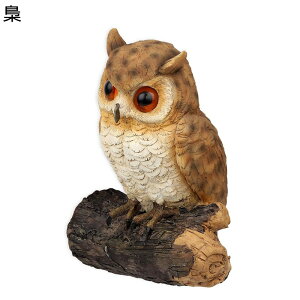 K[fI[ig K[fjOG X  Ǌ| { K[fIuWF 킢 ʔ  ObY    ϋv h CeAG  |  A