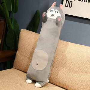 tt ʂ ˂ނ˂   wNbV xbhE\t@[ɒu  u Ƃ낯悤ȔG XgX CeA zCgf[  N