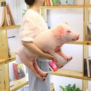 u^ʂ A ăNbV \tg  _炩ȔG  xbhE\t@[ɒu  u ˂ނ˂ XgX CeA w ޏ