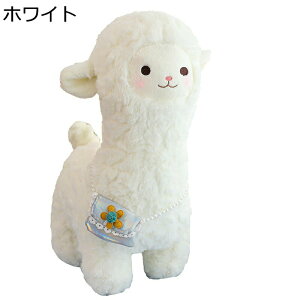 C ApJʂ G ӂӂ \tg LN^[ ll w    ₷ ObY j zCgf[ v~A ޏ