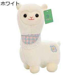 ApJ @\ ʂ  Ǐ w   LN^[ ll ₷Q j zCgf[ v~A ޏ T|[g CeA