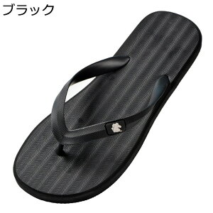 gOT_ T_ XgCv V[Xbp  Y ؂ւ ؂ EVAhLf n y ~ ϋv ɂ l Vv fC[  V[ x_p